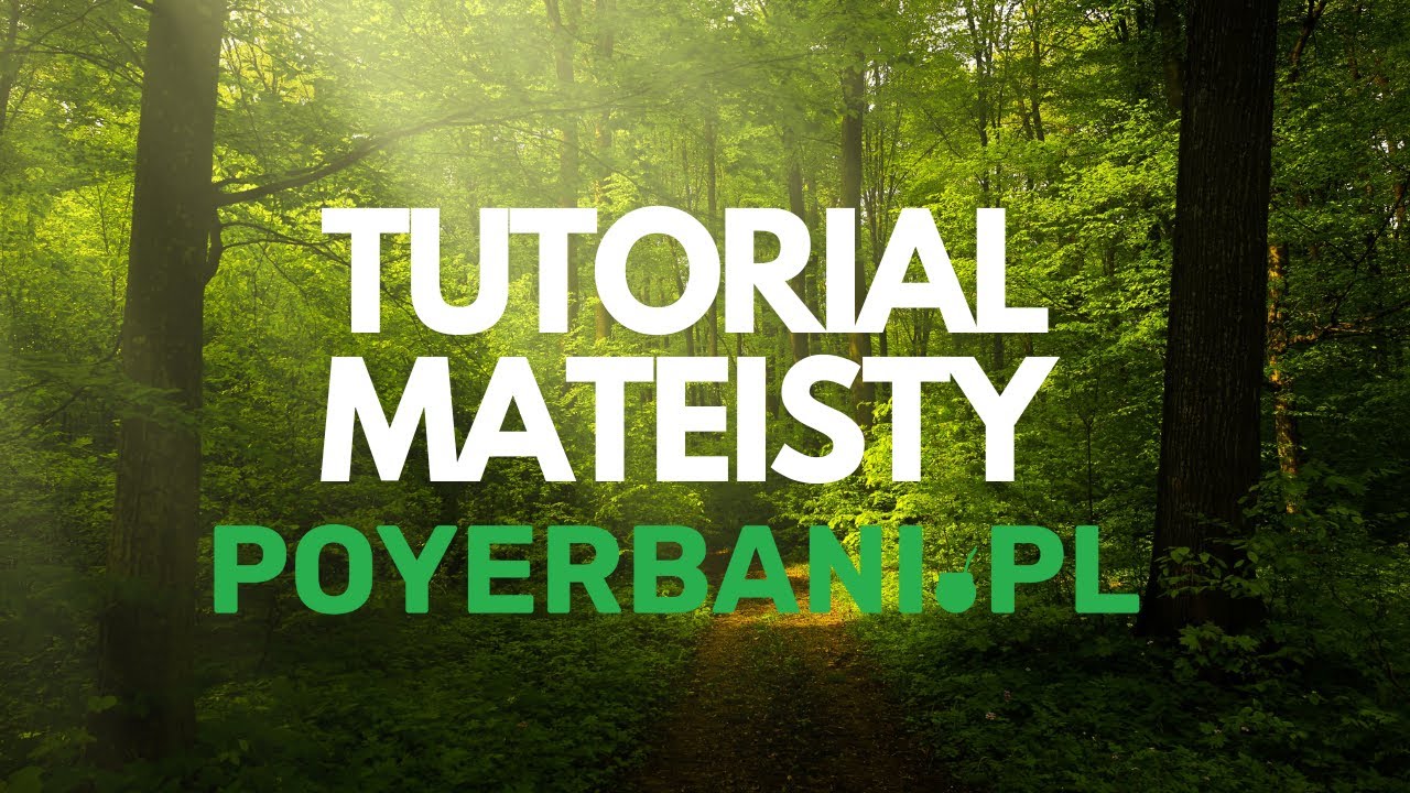 How do you get started with yerba mate? - A Real Mateista's Guide