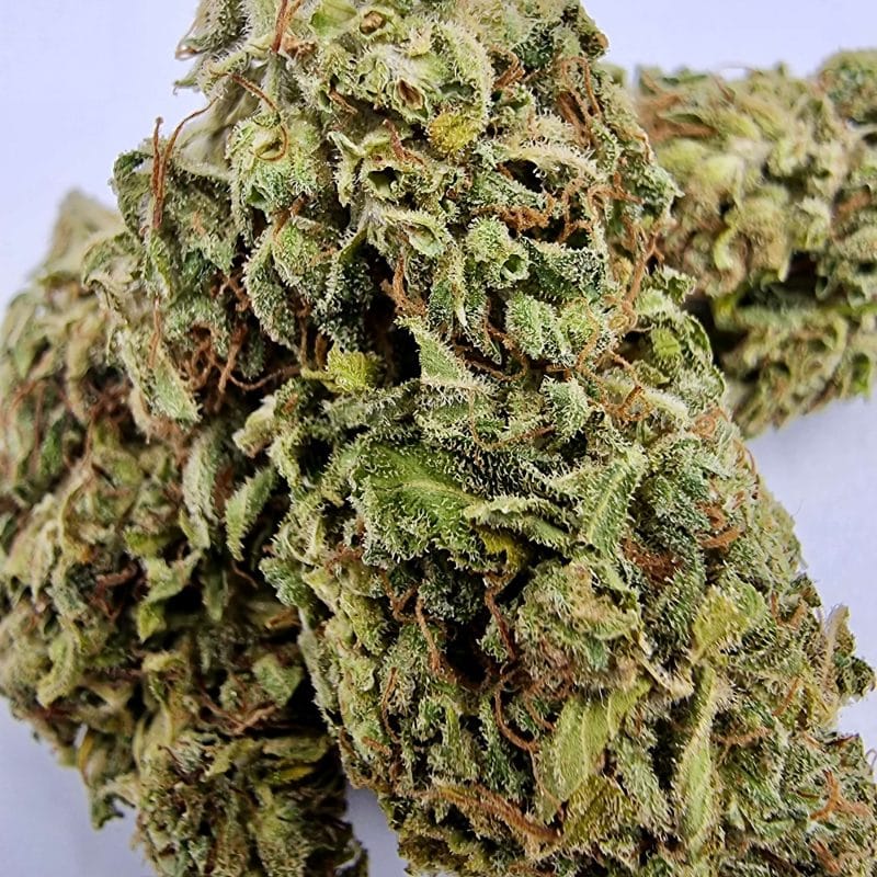 Kosmos - Susz Konopny CBDA ~ 6,5% - Konopny Buch - Susz Konopny