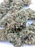 Mars – Susz Konopny CBD ~ 9% – Konopny Buch