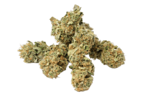 Monkito Green Jungle Indoor CBD ~ 9%