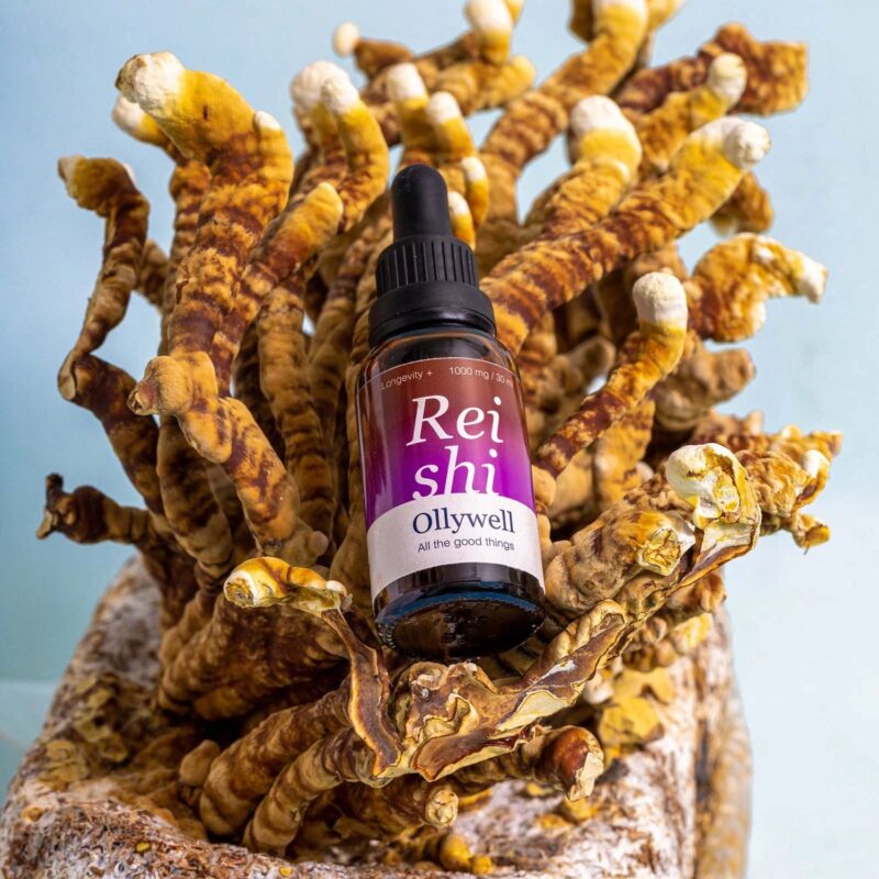 Ollywell Reishi 30ml - Reishi yellowish extract in drops