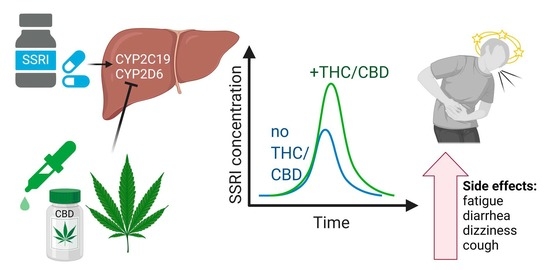 Cannabis y antidepresivos: ¿se pueden combinar los antidepresivos con CBD y marihuana?