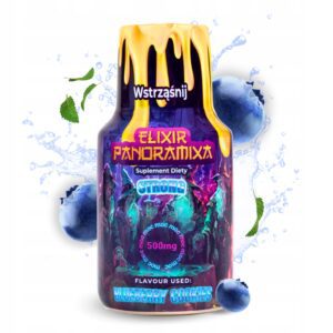 ELIXIR PANORAMIXA - Blueberry Cookies - Żywność