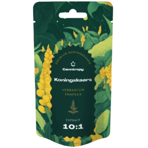 Екстракт конінгскаарсу (Verbascum thapsus) 10:1 - 10G - Екстракти