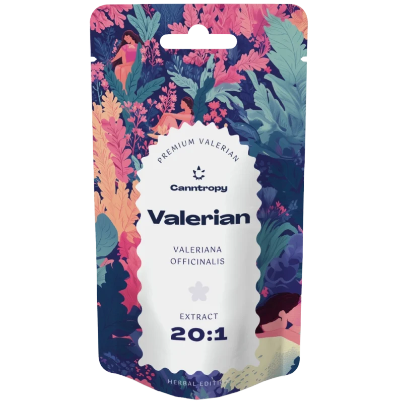 Wyciąg z kozłka lekarskiego (Valeriana officialis) 20:1 - 25G - Ekstrakty
