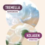 Boski Kolagen - Duet kolagenu grass‑fed i tremelli dla skóry pełnej sprężystości - Divine Goods by.herbs - Adaptogeny